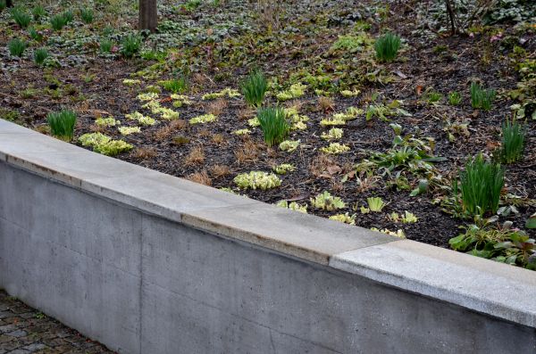 Concrete Wall Construction in Lenexa